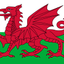 Welsh Ddraig