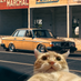 Tom Stan's profile picture