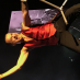 Legrand Benoit profile image