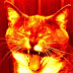 eyereen666
