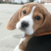 ManonGP1 profile image