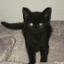 Jaqi