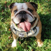 Franck B. profile image