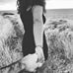Prisca Soa profile image