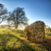 Bernd Reichle