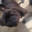 Emelie