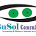 BuSol Consulting LLC