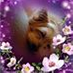 Eliane Vallin profile image