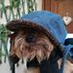 Mahana Sup profile image