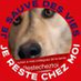 Johanna Bouyssou Mandile profile image
