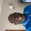 Everton Edwards