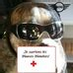 Franck Babin profile image