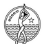 Esteem Dance Company