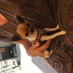 Annick Collier profile image