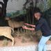 Paulo Monteiro profile picture