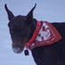 Skippy Ballard