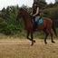 Tatiana Tavernier