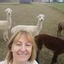 Sue Wilkes