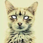 Schrödinger's Cat