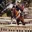 Amy Bittner