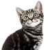 Kittiahna Marie de la Zouche