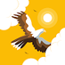 Shadow Hawk
