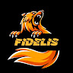 Fds Fidelis