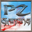 PZ gaming