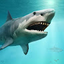 Tony The Meg