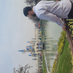 MANSURBEK