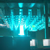 TRASA VIDEO photo
