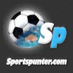 Sportspunter