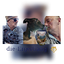 ErgerGang