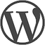 WordPress Developer