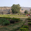 raghavendra sagar