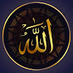 Muhammad Raza Ali