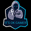 IT'S OK GAMER