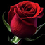 Gilbert ROSE