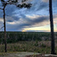 Oskari Harjula