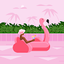Pink Flamingo