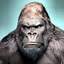 Kong