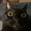 Mathylde Mx Meow_maty