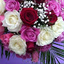 KHADRA OUALI