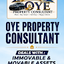 Oye Property Consultant