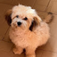Prizzy Yadaah