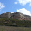 Waterreedshimmer Dracchingan