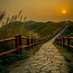 soroush ghamari