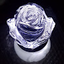 mauro casagrande