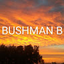 Bushman B