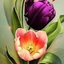 Elham Mazzawi